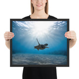 Tableau Tortue Moderne