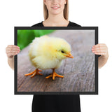 Tableau Poussin Jaune