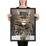 Tableau Chat Pelage Tigré Sauvage