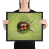 Tableau  Scarabée Rouge