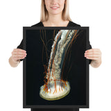 Tableau de Méduse Orange (Chute à l'Océan)