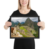 Tableau Lama au Péru Machu Picchu