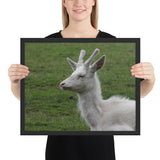 Tableau Rennes Blanc aux petites Cornes