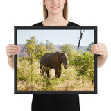 Tableau Eléphant Indien Perdu