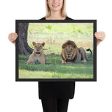 Tableau Lion et Lionne Observant