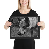 Tableau Animaux Deco Loup