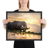 Tableau  Camargue Taureau Noir