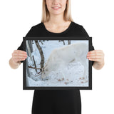 Tableau Rennes Blanc du Père Noel