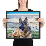 Tableau Berger Allemand Jardin (Langue Pendue)