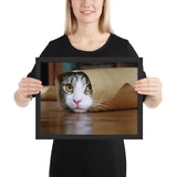 Tableau chat rigolo dans un burritos