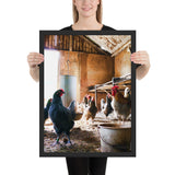 Tableau de Poules