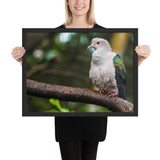 Tableau Oiseaux sur une Branche Massive