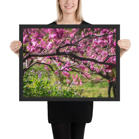 Tableau Déco Japonais Cerisier