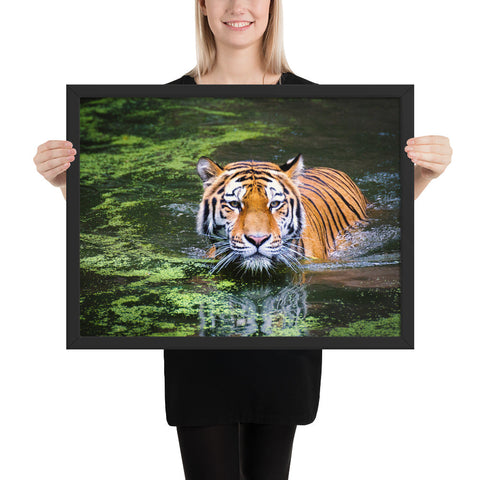 Tableau de Tigre (Khan)