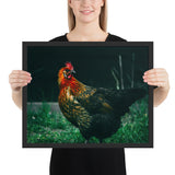 Tableau Animaux Coq