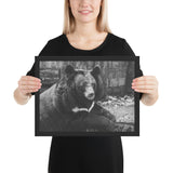 Tableau Animaux Ours Noir et Blanc Géant