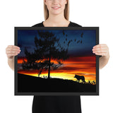 Tableau Deco Loup au Soleil