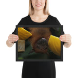 Tableau Chauve-Souris Corona