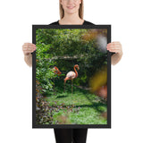 Tableau avec Flamant Rose (Sieste)