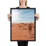 Tableau Chameau Désert Aride