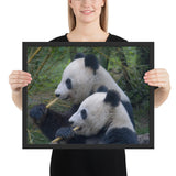Tableau Déco Panda Noir et Blanc (Le Duo)