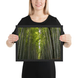 Tableau bambou la forêt cachée