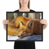 Tableau Enfant Renard dormant