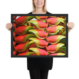 Tableau tropical helliconia rouge