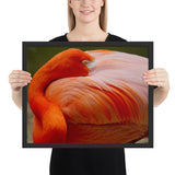 Tableau avec Flamant Rose Tête à l'Envers