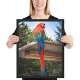 Tableau Déco avec Perroquet