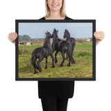 Tableau Chevaux Noirs