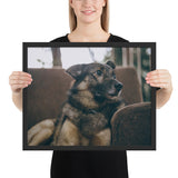 Tableau Berger Allemand (Curieux)