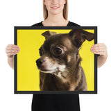 Tableau Chihuahua Chiot