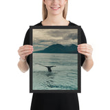 Petit cadre Baleine