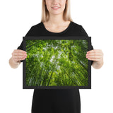 Tableau bambou et ciel vert