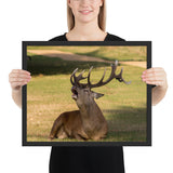 Tableau Rennes Majestueux et Royal