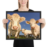Tableau avec des Vaches en Zoom