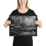 Tableau Animaux Elephant Bebe Noir et Blanc