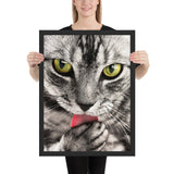 Tableau Chat Coloré qui se lèche