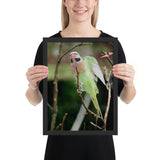 Tableau Jungle Perroquet Bec Rouge
