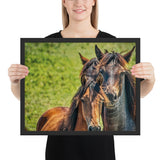 Tableau Chevaux et Juments