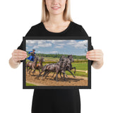 Tableau Animaux Chevaux Course Hippique