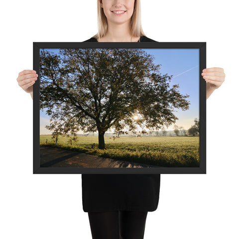 Tableau Chêne Ancien