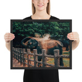 Tableau Eléphant (L'arrosoir)