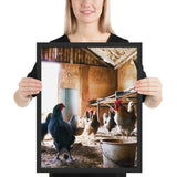 Tableau de Poules et Coqs Noirs