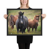 Tableau Chevaux Photo de Cheval