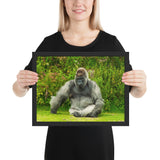 Tableau Animaux Gorille Assis