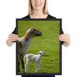 Tableau de Mouton et son Bébé