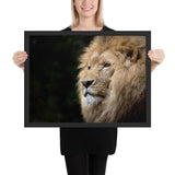 Tableau  Lion en Couleur Vive