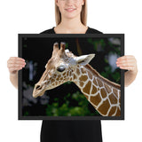 Tableau Girafe Bébé Pensante